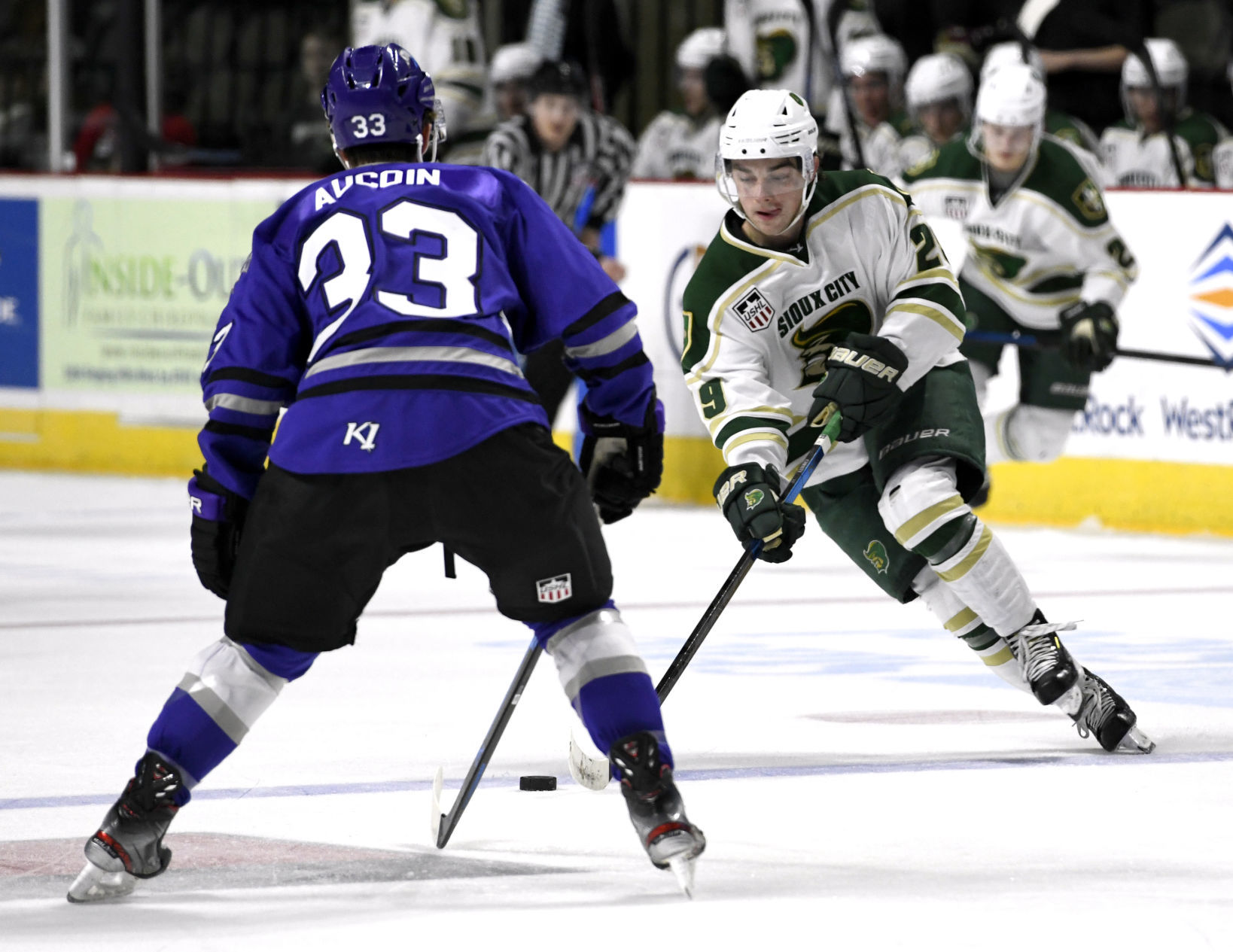 Musketeers defeated by Tri-City Storm